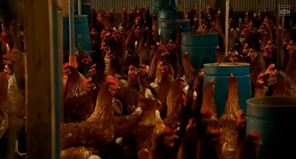 恋人たちの画像