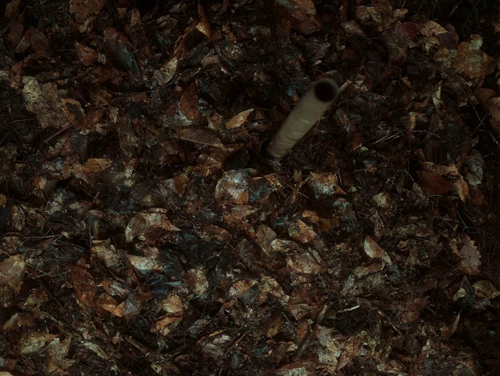 バイオレント・ネイチャーの画像