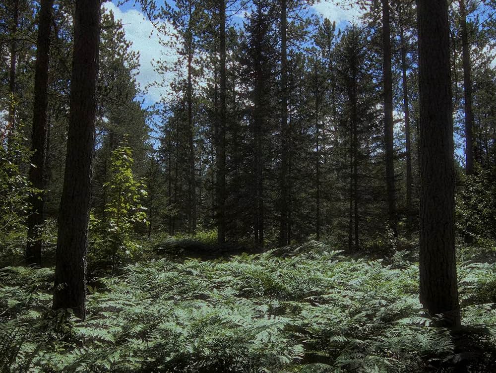バイオレント・ネイチャーの画像