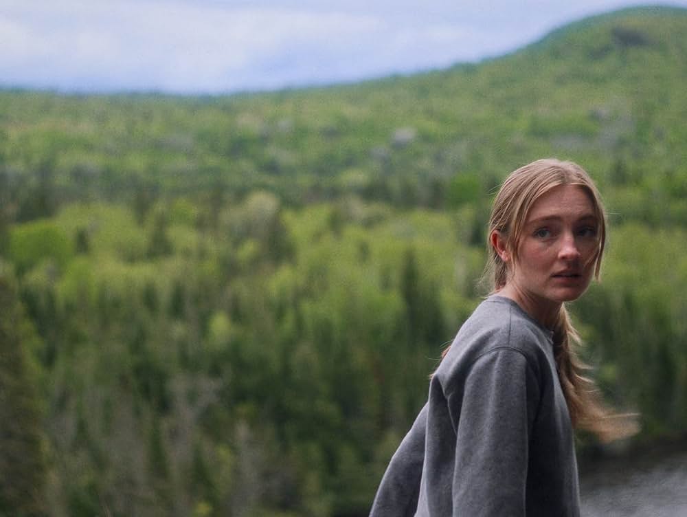 バイオレント・ネイチャーの画像