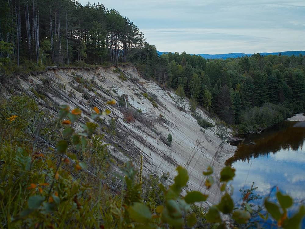 バイオレント・ネイチャーの画像