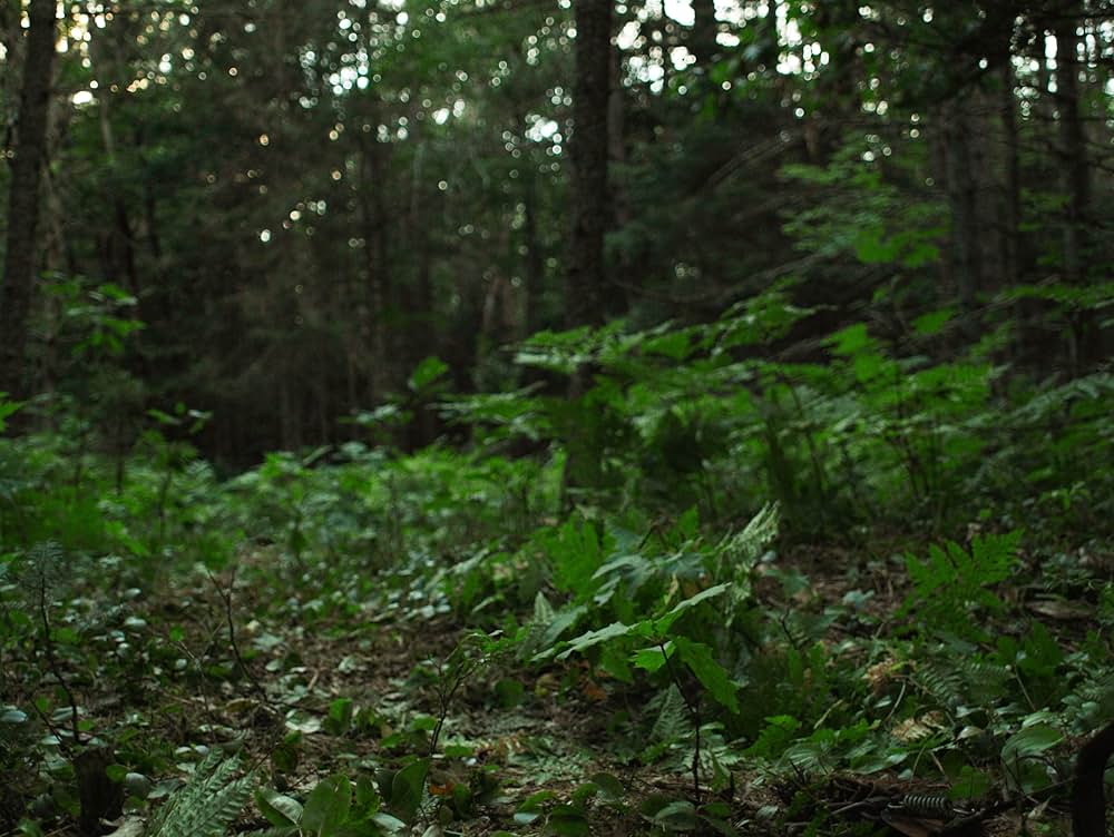 バイオレント・ネイチャーの画像