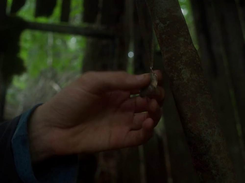 バイオレント・ネイチャーの画像