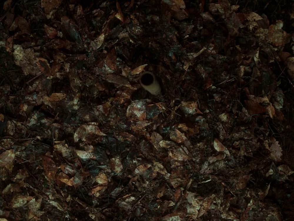 バイオレント・ネイチャーの画像