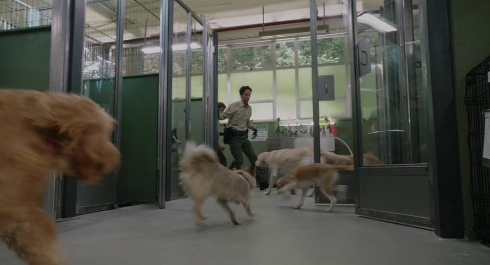 フローラとユリシーズの画像