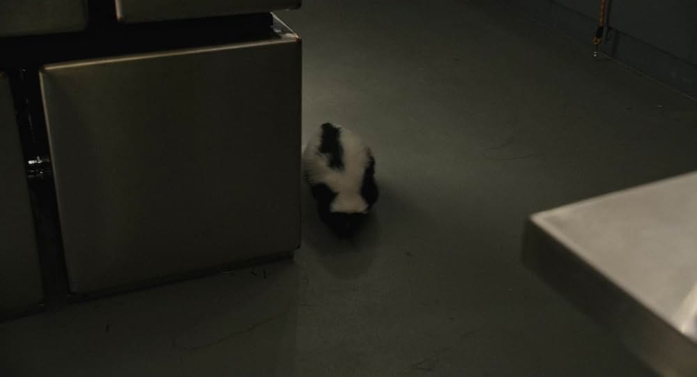 「フローラとユリシーズ」の画像