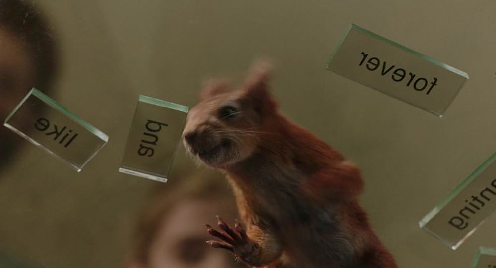 フローラとユリシーズの画像