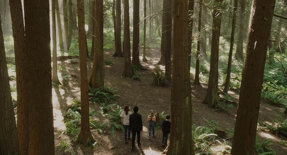 フローラとユリシーズの画像