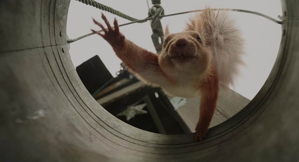 フローラとユリシーズの画像