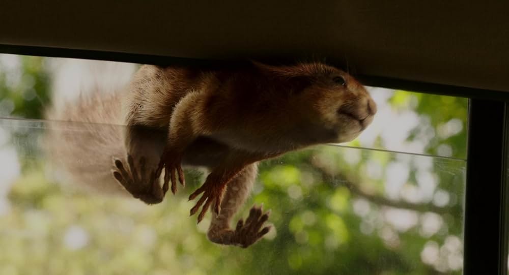 フローラとユリシーズの画像