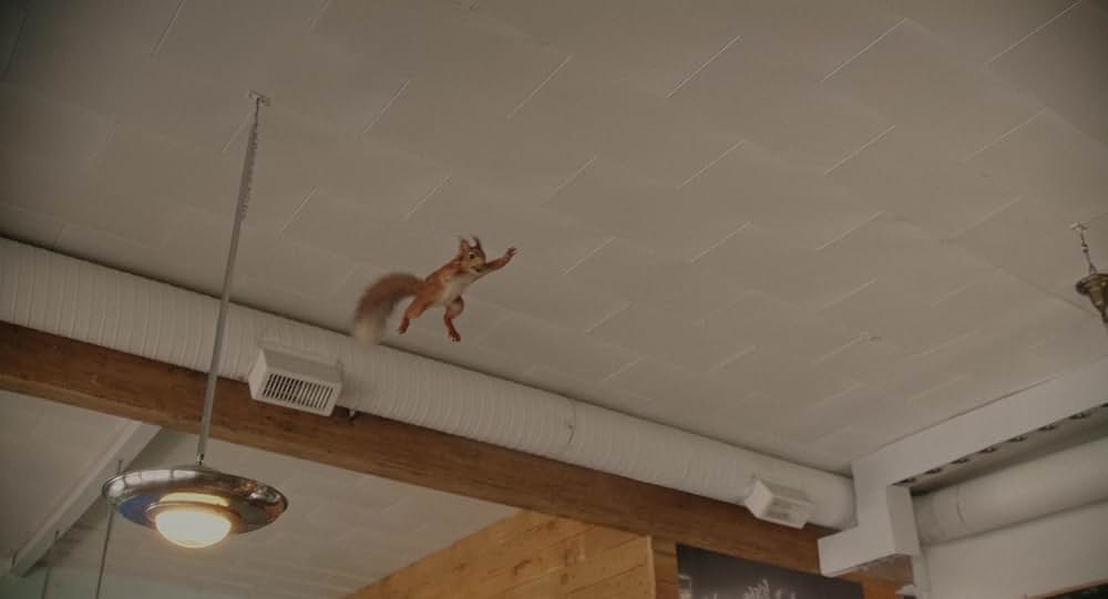 フローラとユリシーズの画像