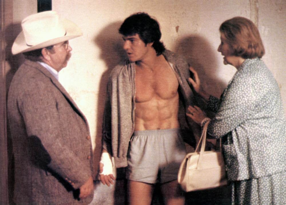 ザ・ファイトの画像