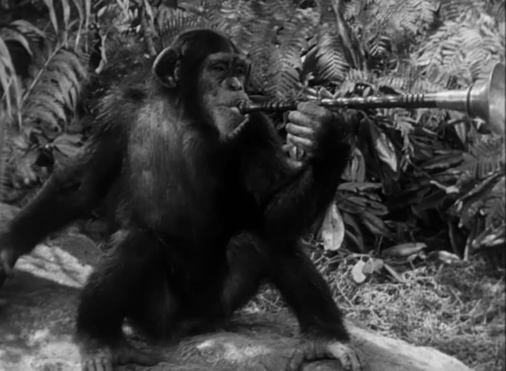 ターザンと豹女の画像