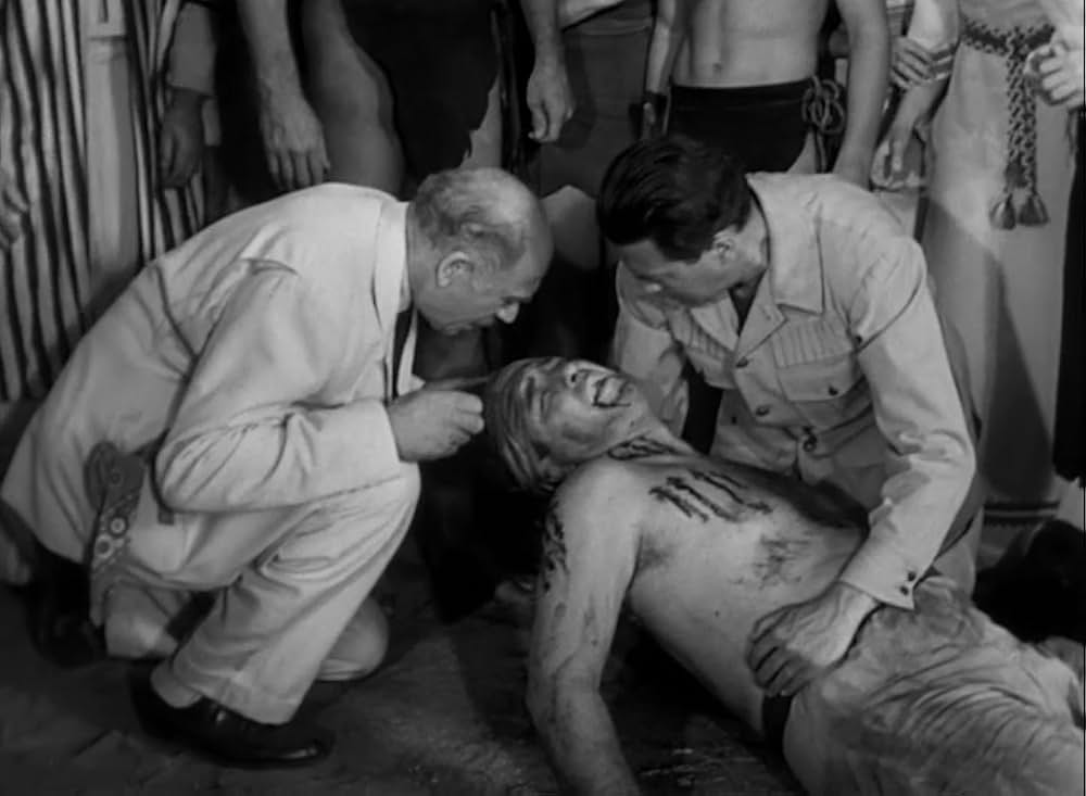 ターザンと豹女の画像