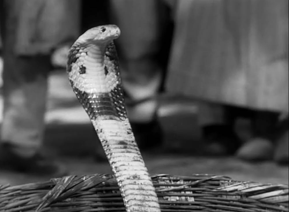 ターザンと豹女の画像