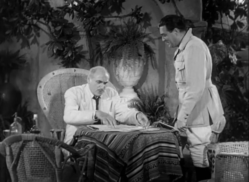 ターザンと豹女の画像