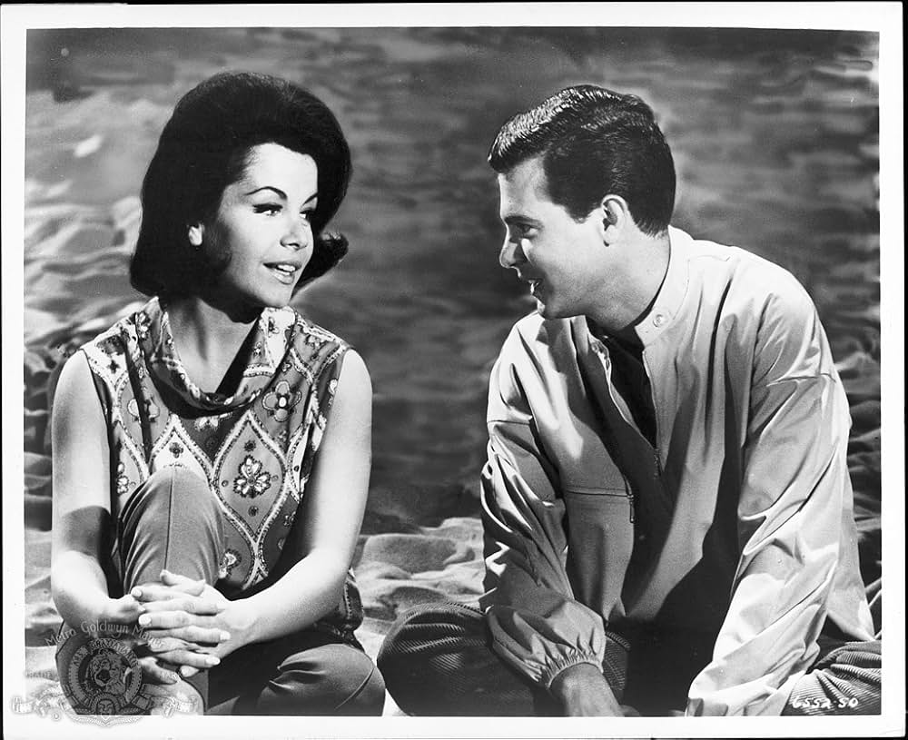 ビキニガール・ハント／奔放なビキニをいっぱいにする方法の画像