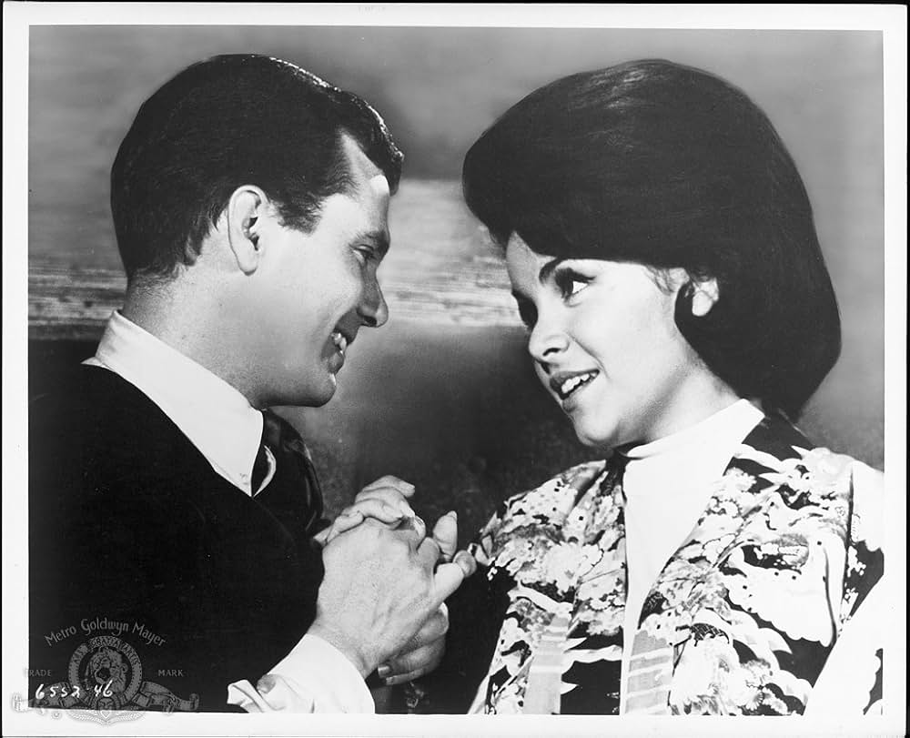 ビキニガール・ハント／奔放なビキニをいっぱいにする方法の画像