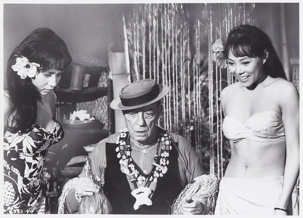 ビキニガール・ハント／奔放なビキニをいっぱいにする方法の画像