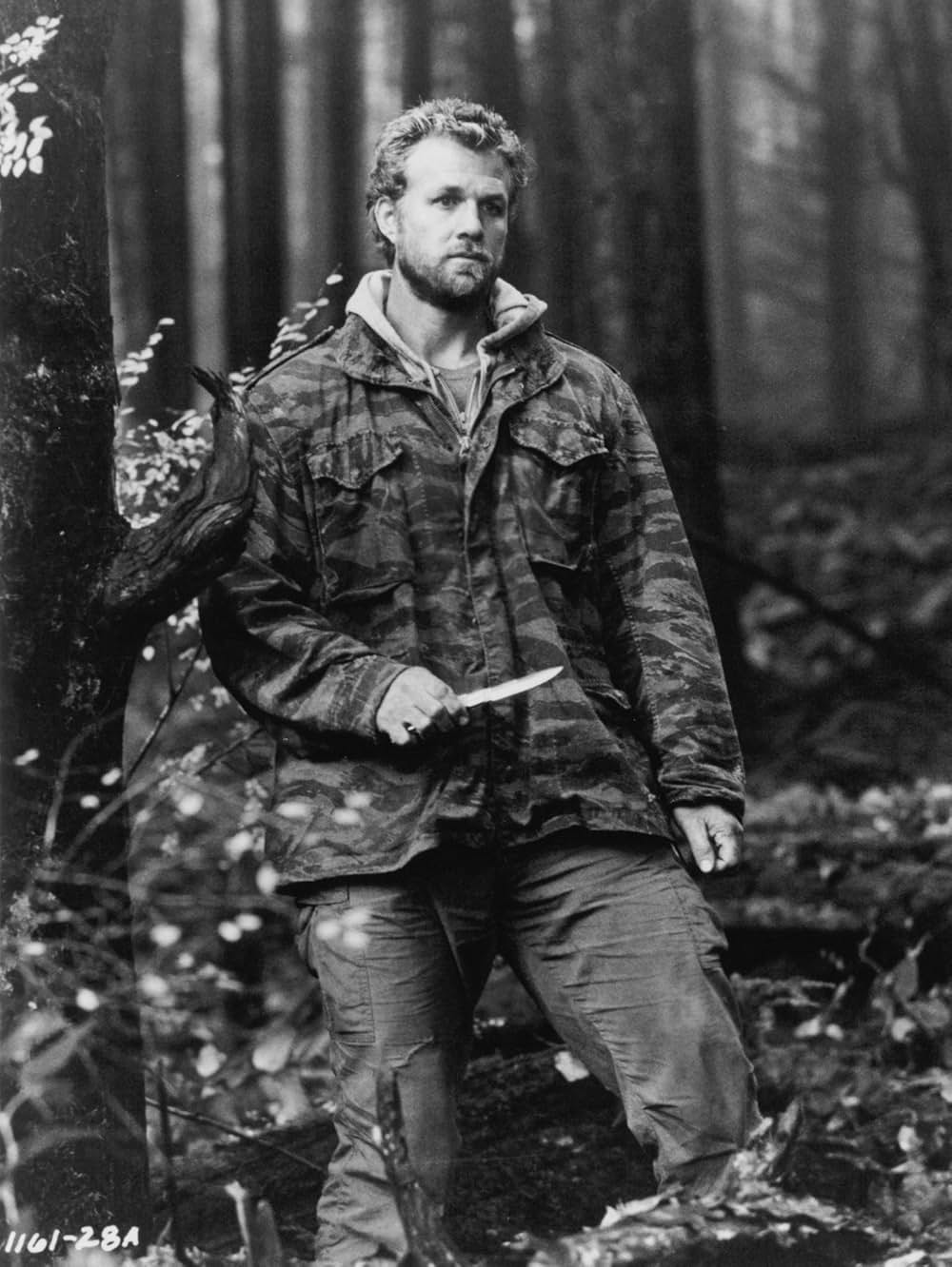 デイスタント・サンダーの画像