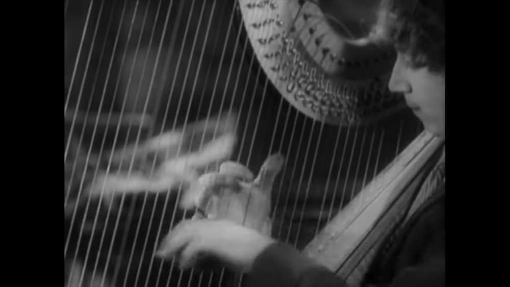 ココナッツの画像