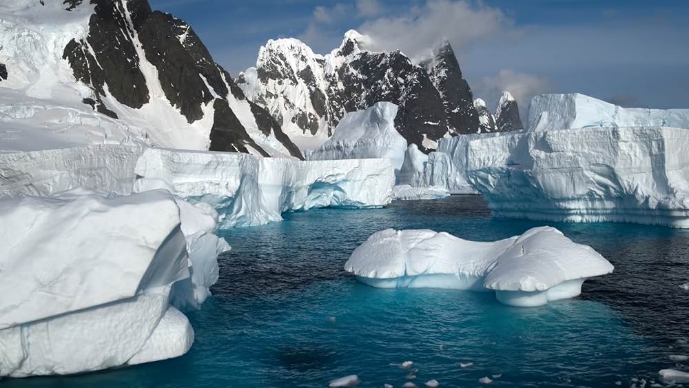 デヴィッド・アッテンボロー: 地球に暮らす生命の画像