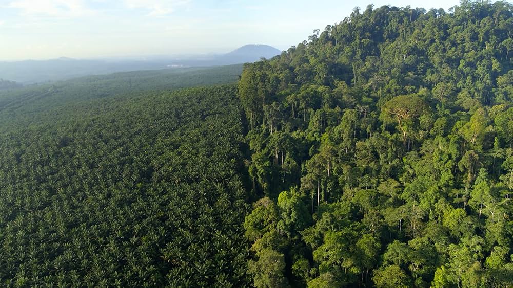 デヴィッド・アッテンボロー: 地球に暮らす生命の画像