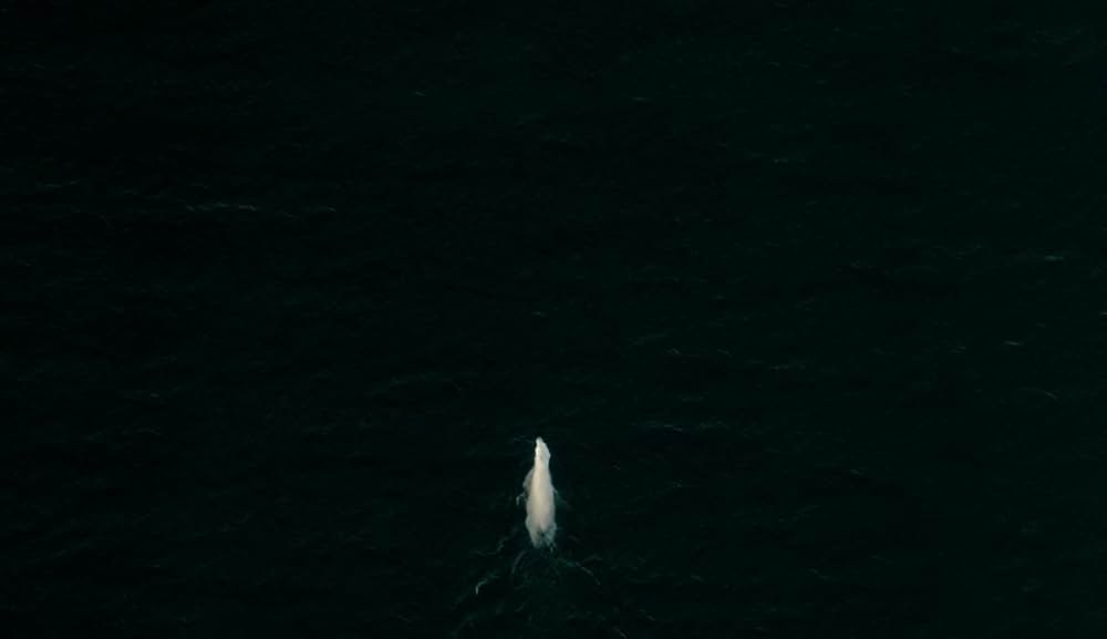 デヴィッド・アッテンボロー: 地球に暮らす生命の画像