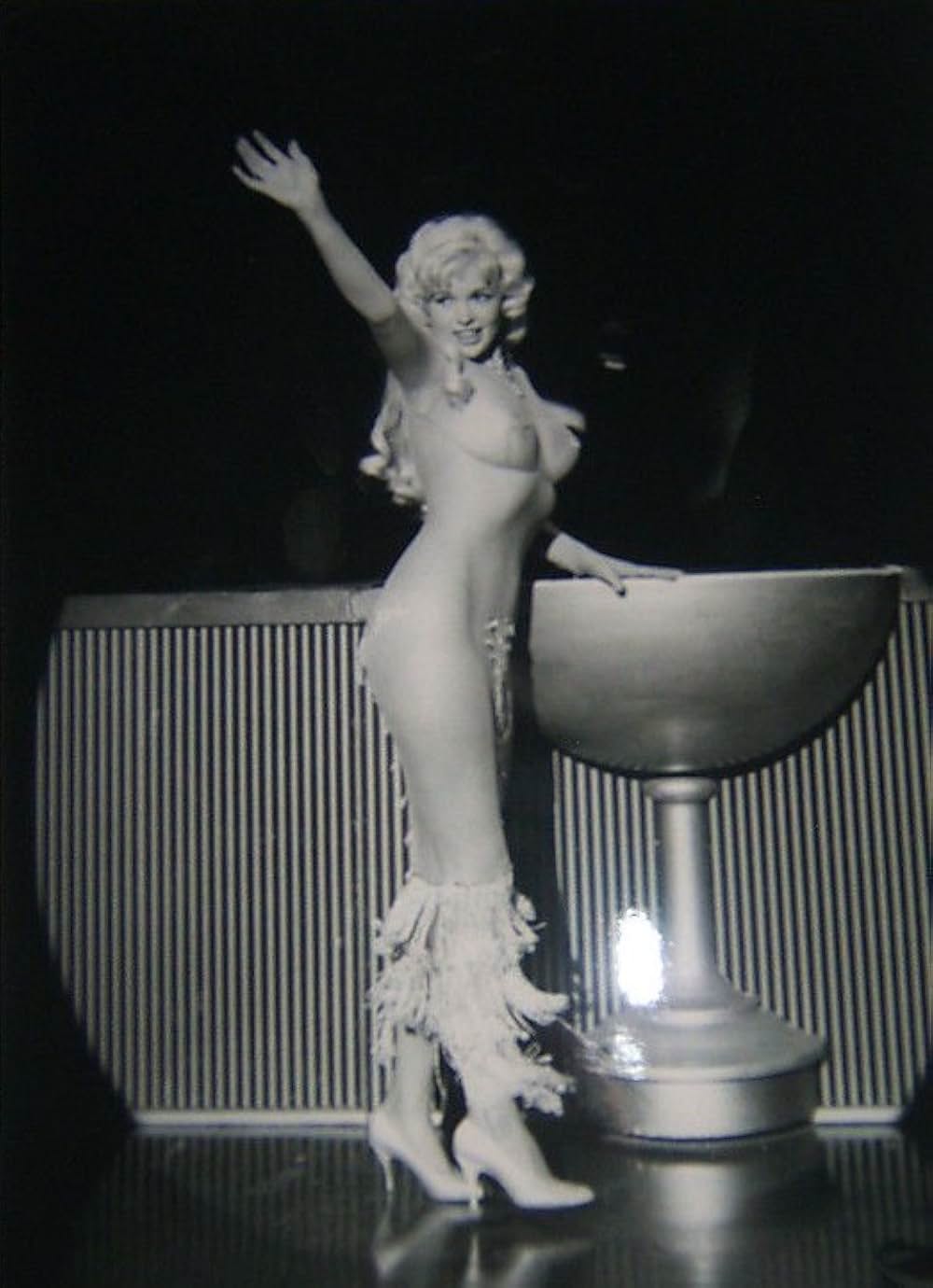 華麗なる殺し屋の画像