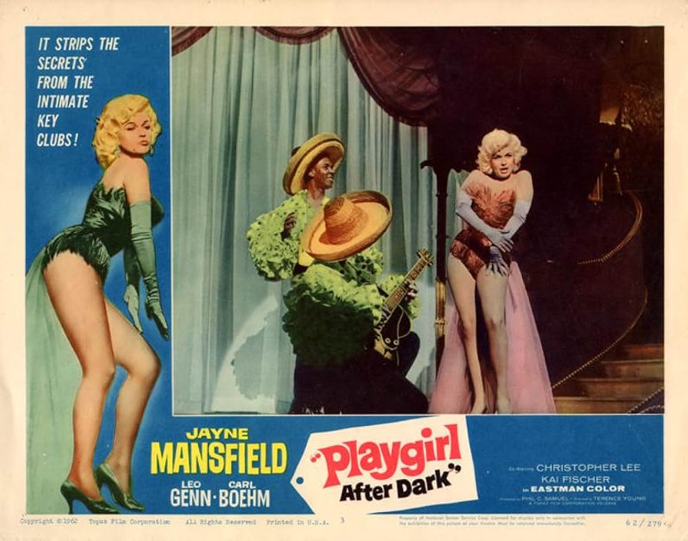 華麗なる殺し屋の画像