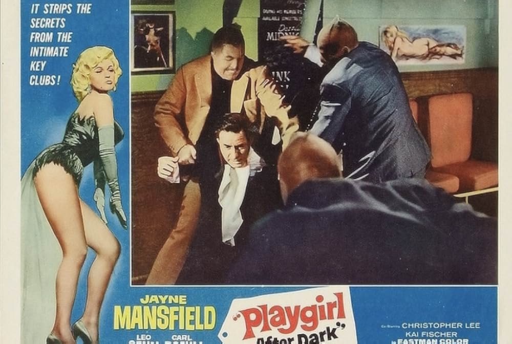 華麗なる殺し屋の画像