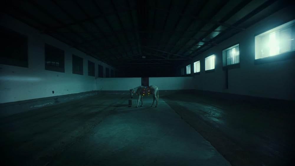 Amanda（原題）の画像