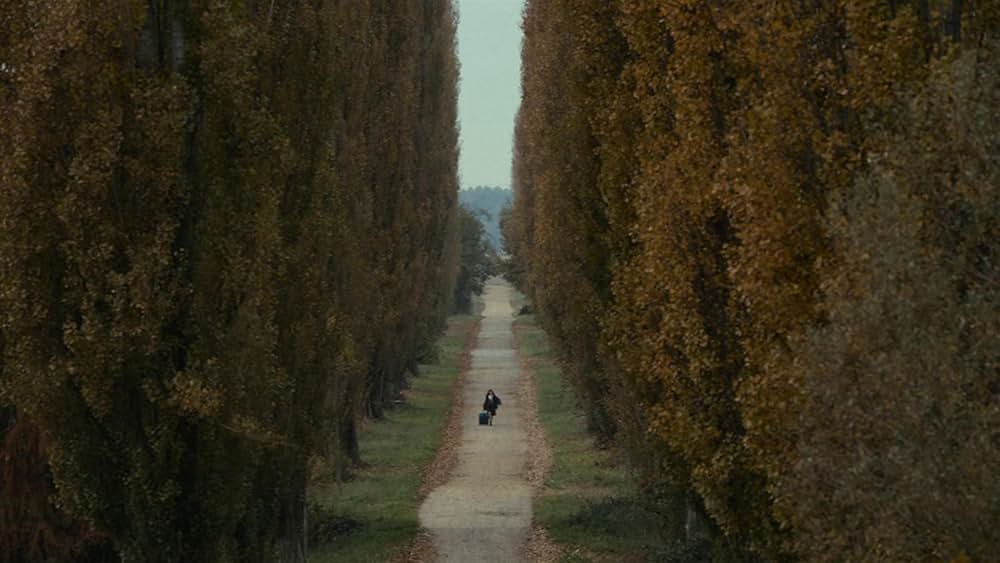 Amanda（原題）の画像