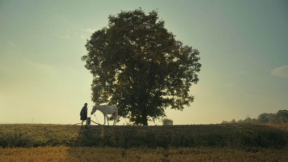 Amanda（原題）の画像