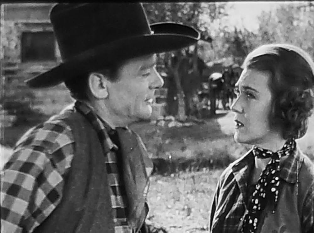 荒野の牛泥棒の画像