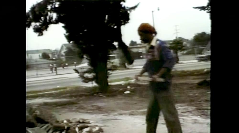 The Melt Goes on Forever: The Art & Times of David Hammons（原題）の画像