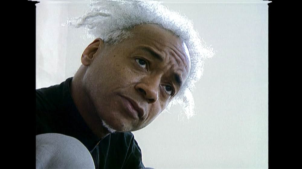 The Melt Goes on Forever: The Art & Times of David Hammons（原題）の画像