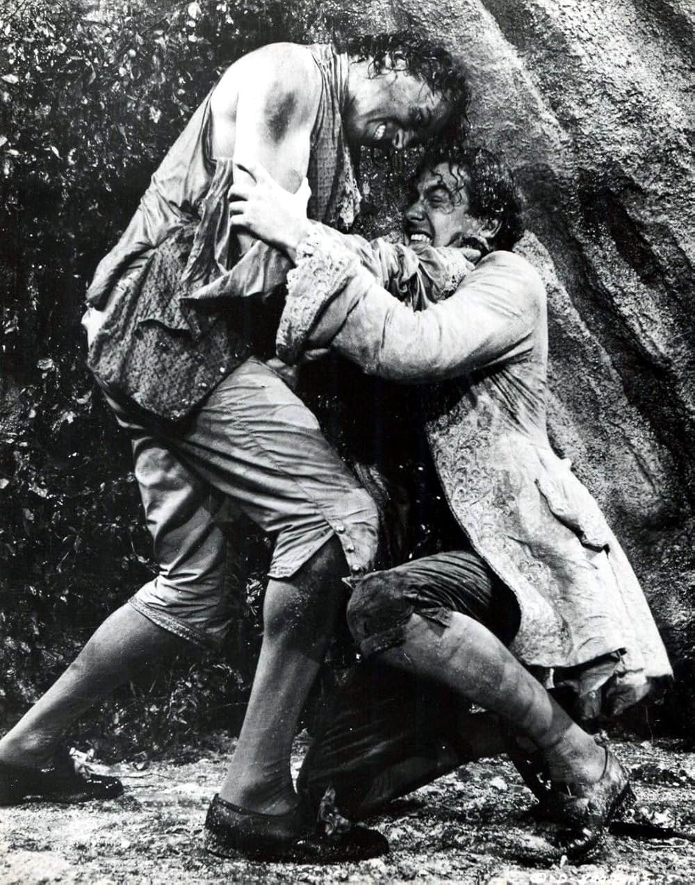 激情の断崖の画像