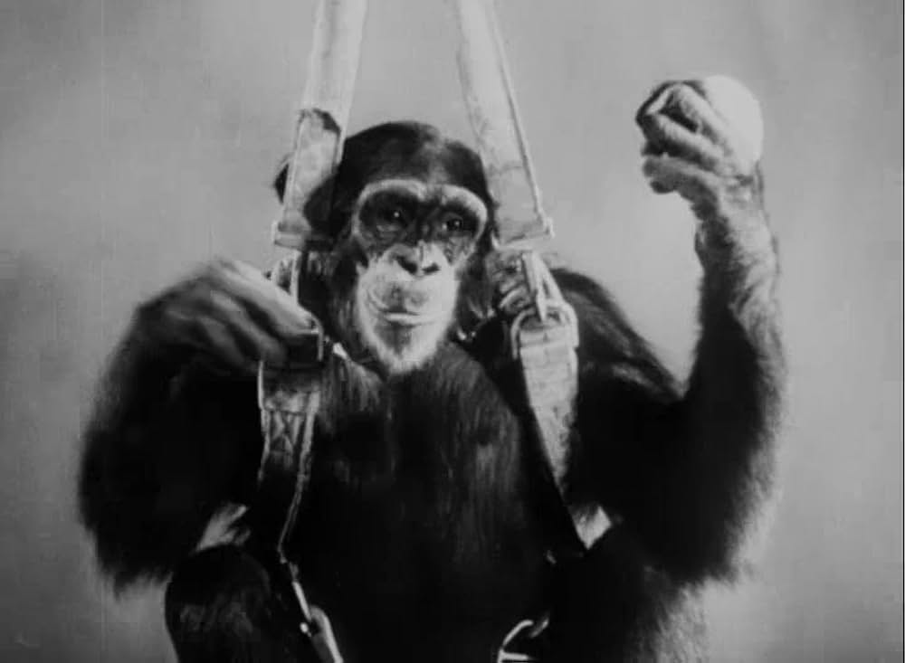 ターザンの怒りの画像