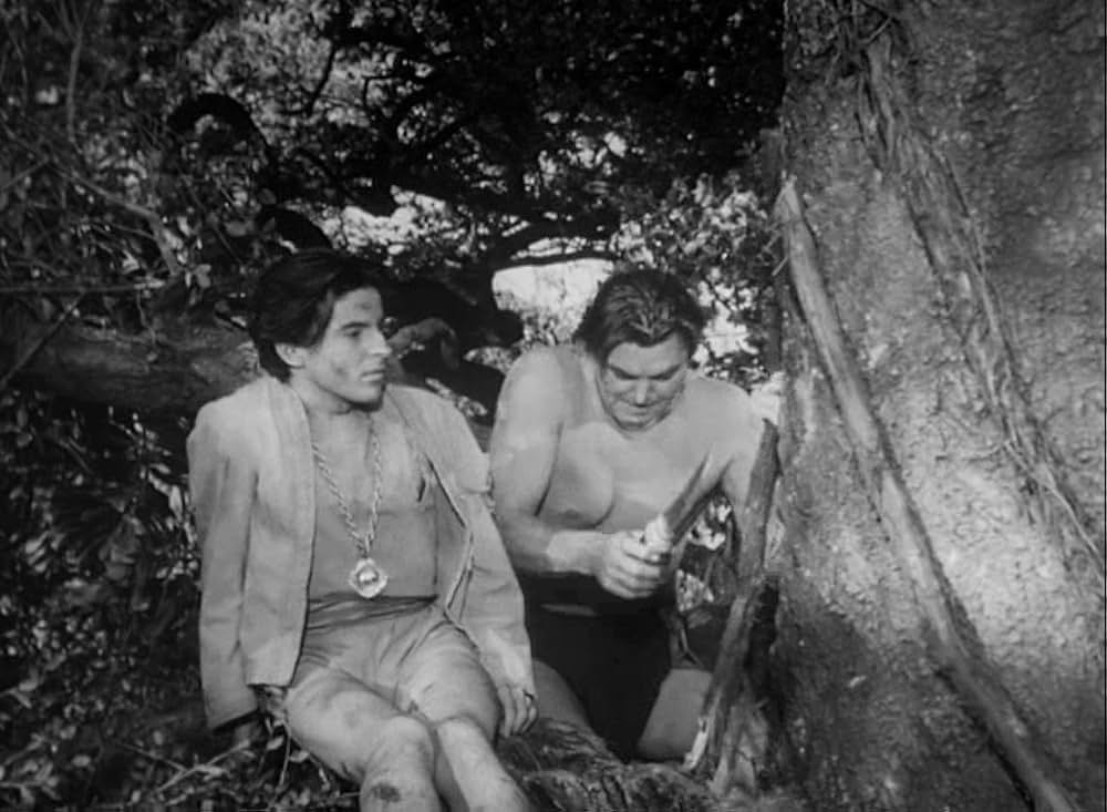 ターザンの怒りの画像