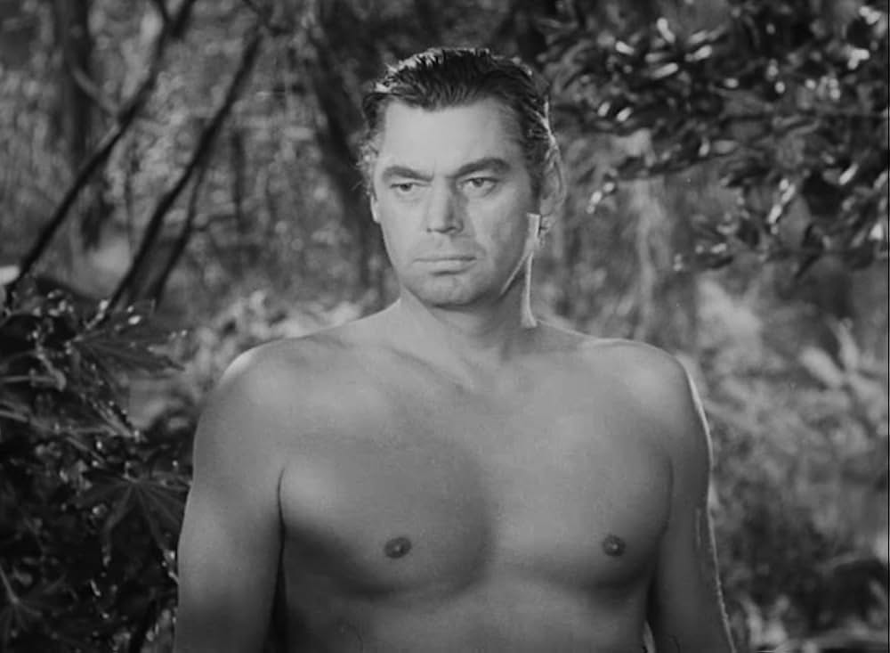 ターザンの怒りの画像