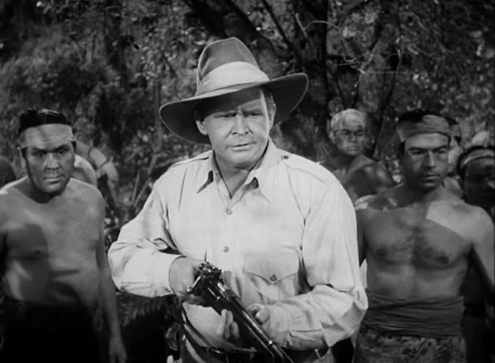 ターザンの怒りの画像