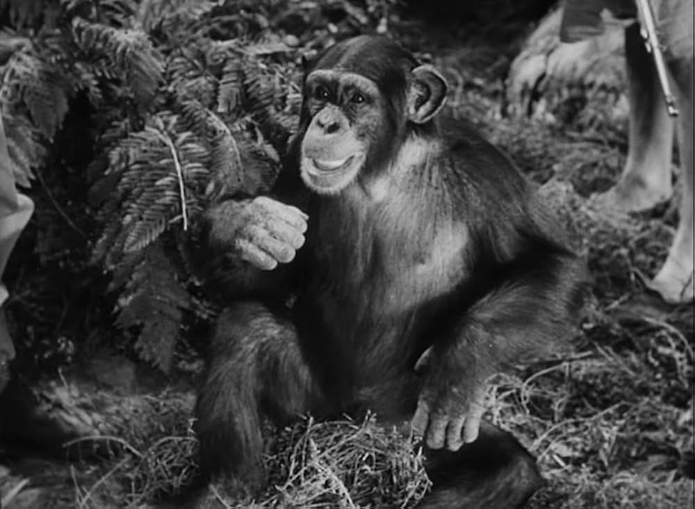 ターザンの怒りの画像