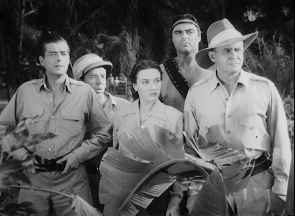 ターザンの怒りの画像