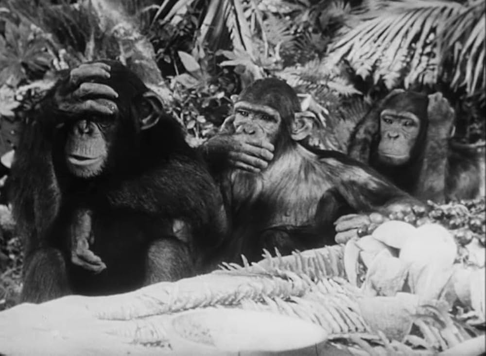 ターザンの怒りの画像