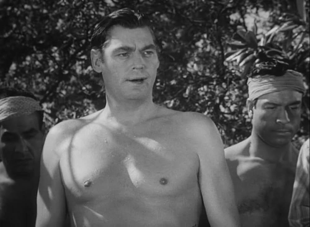 ターザンの怒りの画像