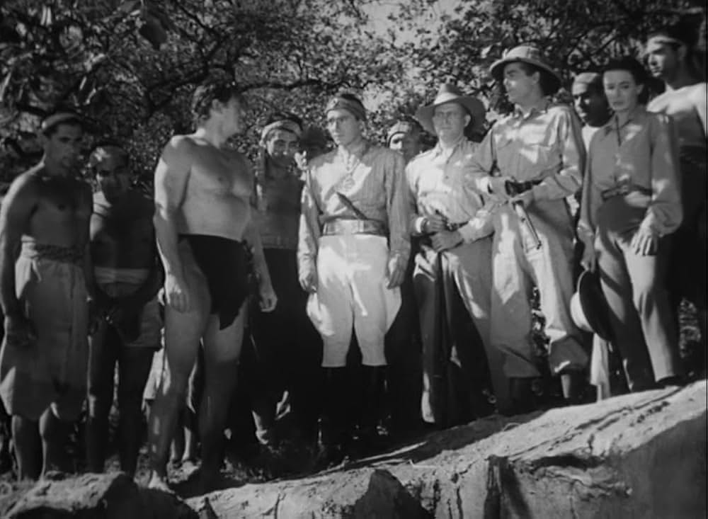 ターザンの怒りの画像