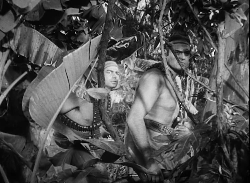 ターザンの怒りの画像