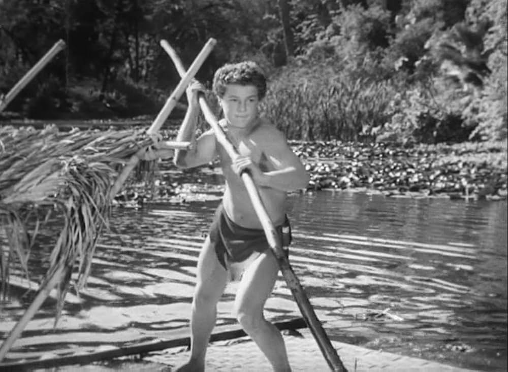 ターザンの怒りの画像