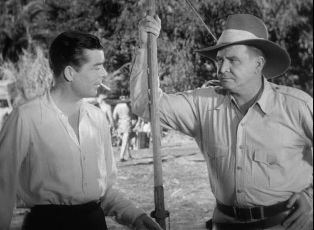 ターザンの怒りの画像